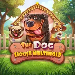 The Dog House Multihold game at Betmaze Casino for players in the United Kingdom The Dog House Multihold game at Betmaze Casino for players in the United Kingdom